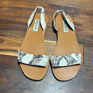 Steve Madden Snake-Print Leather Slide Sandals - Tan/Beige/Brown
